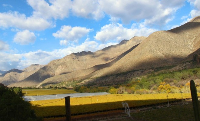 Primer lugar Valle generoso