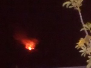 incendioforestal2